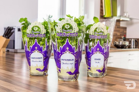 Kräuter_Lidl-480x320 Groove Dernjac GmbH